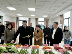 “蔬” 写新篇：福州市蔬菜研究所勾当帮