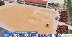 <b>新品种新手艺齐上阵 多地一片好“丰”景</b>