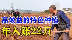 正在农村加工什么项目赔本